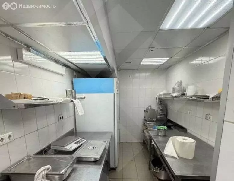 Помещение свободного назначения (260 м) - Фото 2