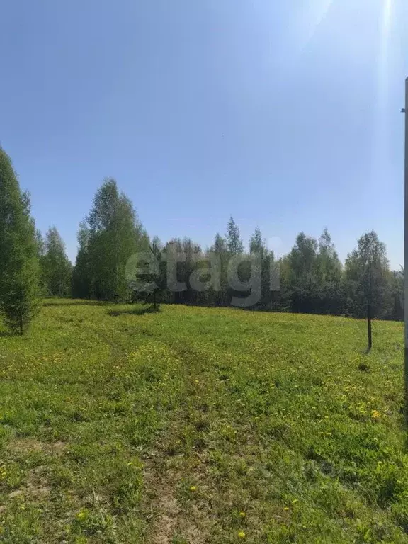Участок в Пермский край, Пермский район, д. Ежи ул. Земляничная, 22 ... - Фото 0