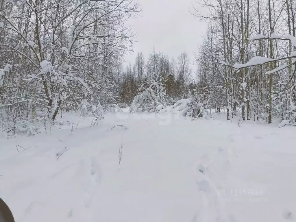 Участок в Ленинградская область, Всеволожский район, Рахья рп ул. ... - Фото 2