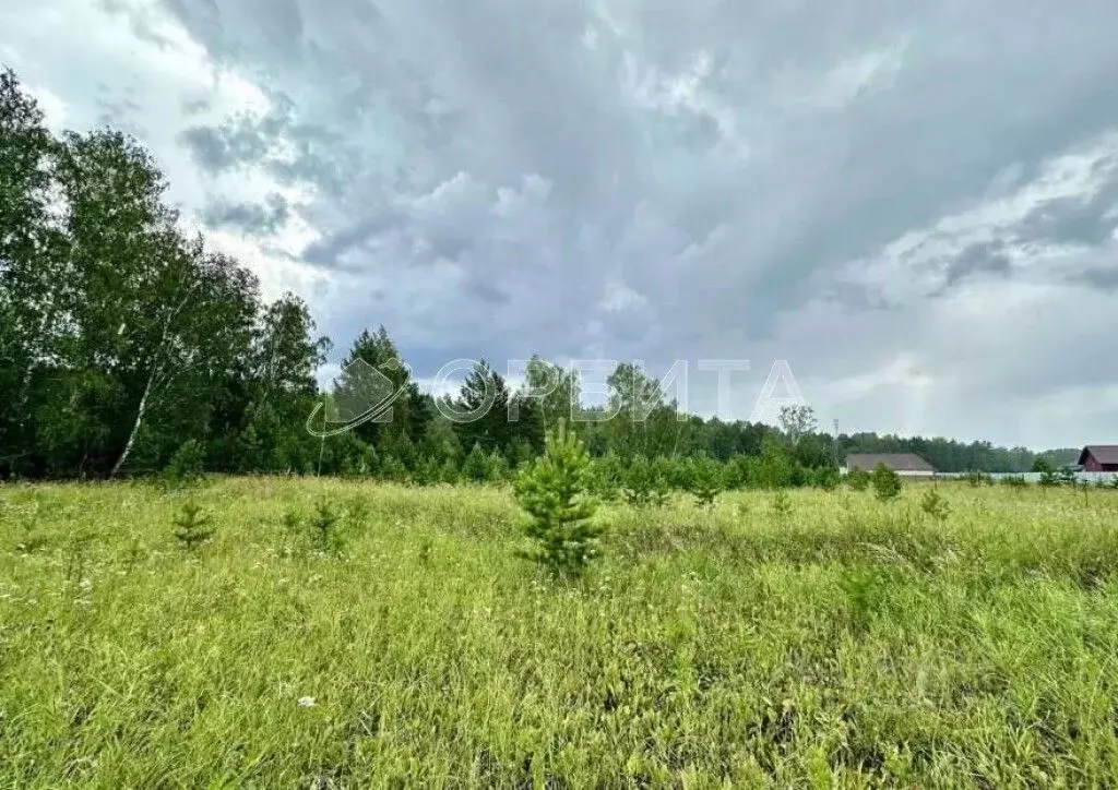 Участок в Тюменская область, Тюменский муниципальный округ, с. ... - Фото 1