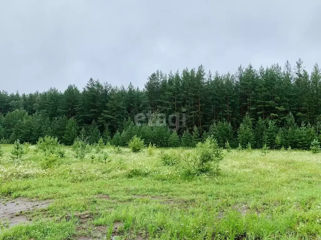 Участок в Свердловская область, Каменский муниципальный округ, д. ... - Фото 0