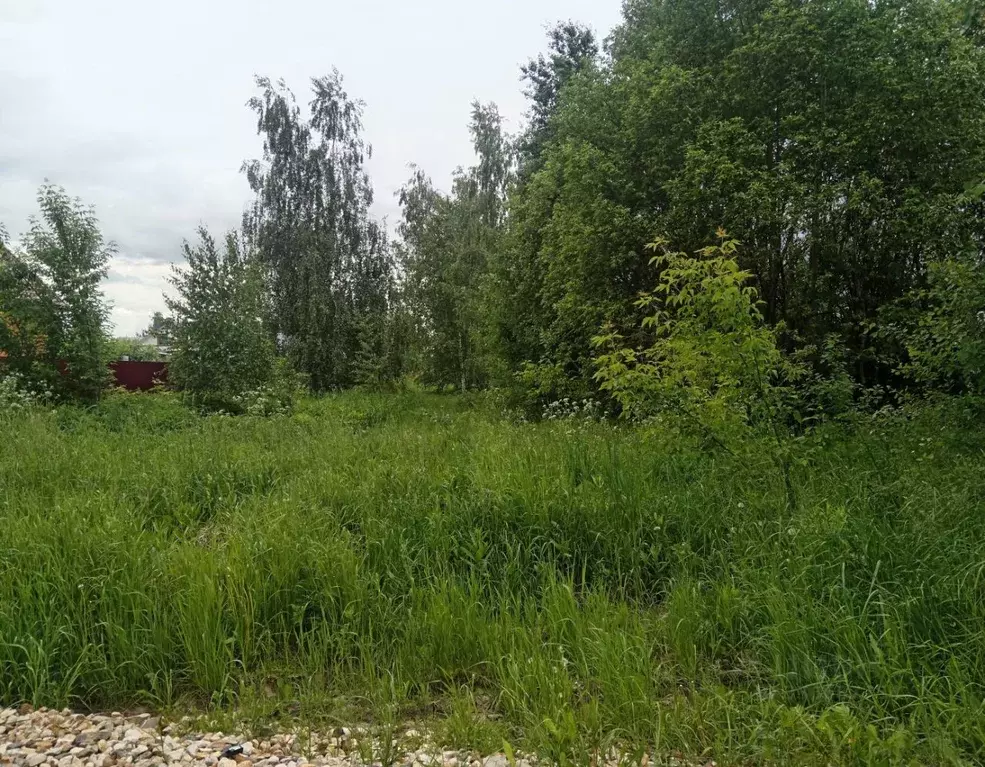 Участок в Московская область, Луховицы  (12.0 сот.) - Фото 1