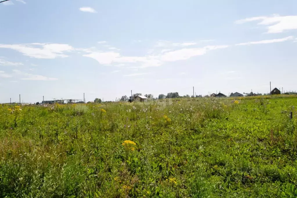 Участок в Новосибирская область, Новосибирский район, Морской ... - Фото 1