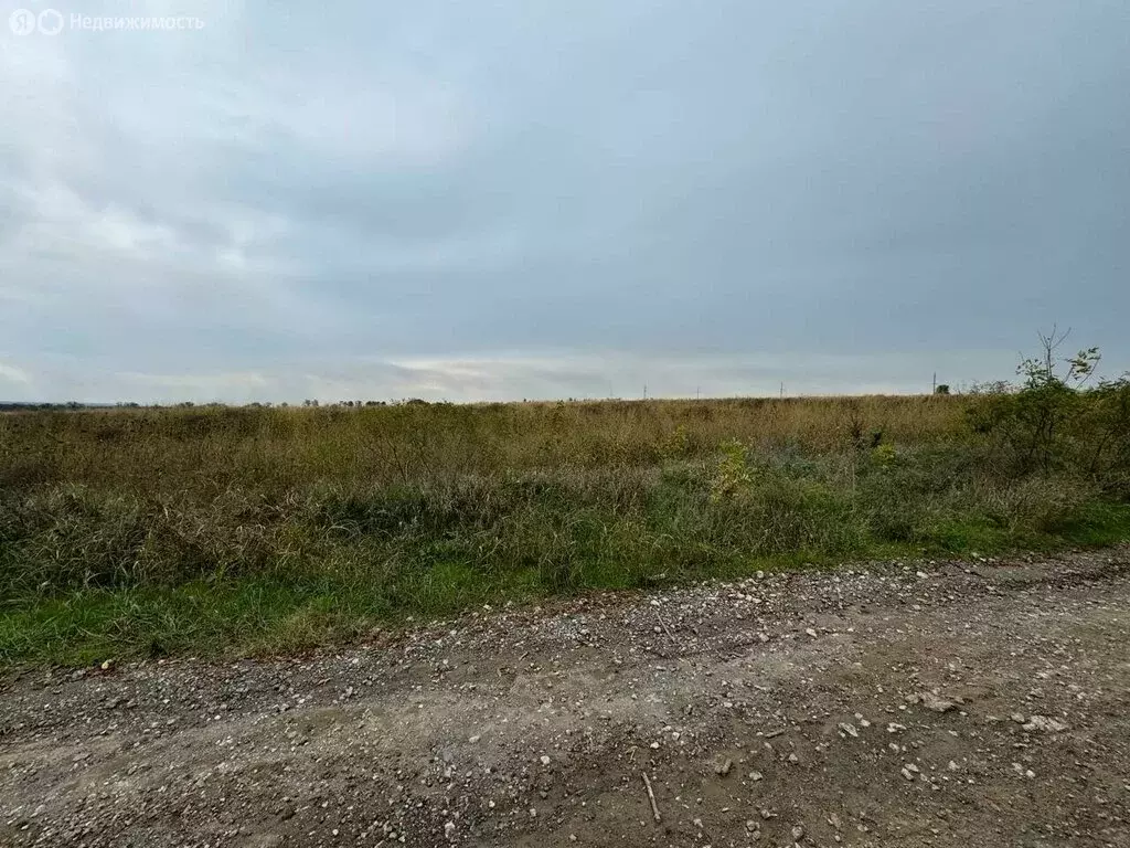 Участок в Темрюк, СОТ Северные Сады (34.46 м) - Фото 1