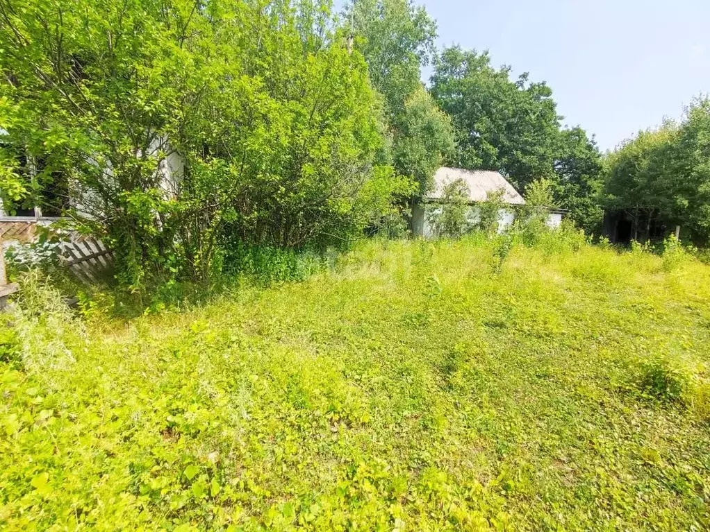 Участок в Амурская область, Благовещенский район, с. Новопетровка ... - Фото 1