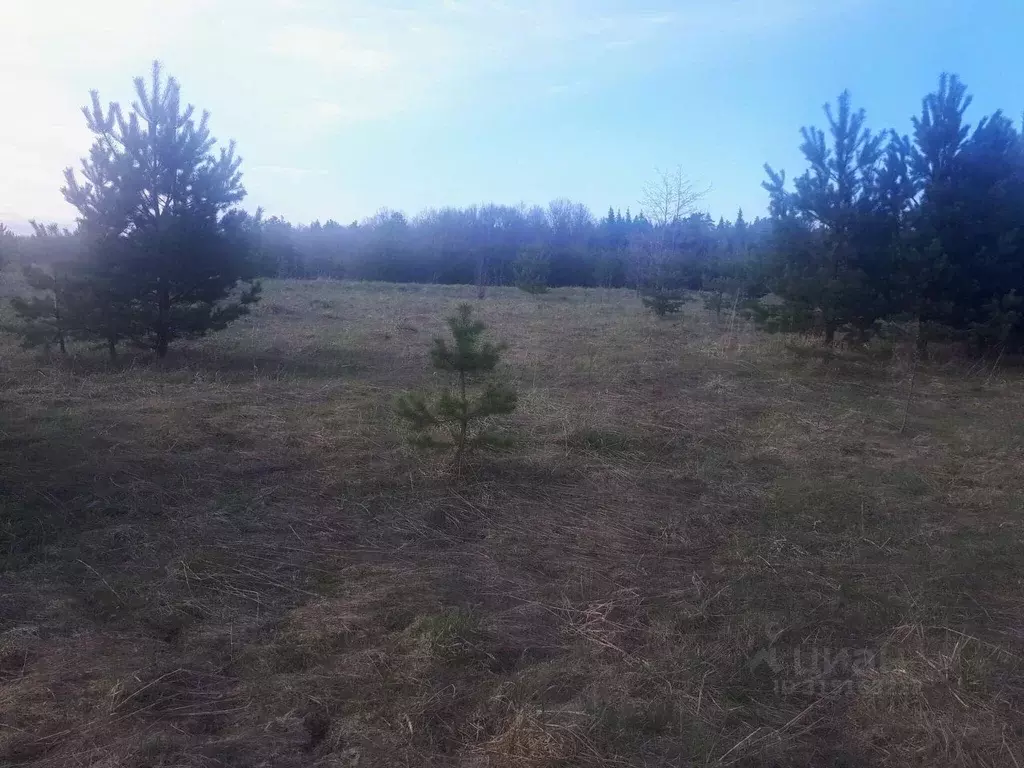 Участок в Владимирская область, Владимир д. Уварово,  (9.89 сот.) - Фото 0