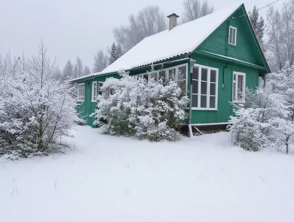 Дом в Ленинградская область, Киришский район, Кусинское с/пос, ... - Фото 0