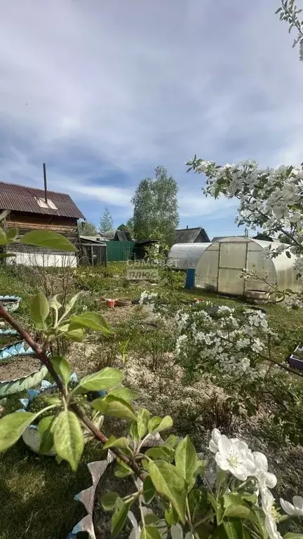 Дом в Иркутская область, Иркутский муниципальный округ, Медик-2 СНТ ... - Фото 0