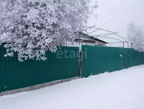 Дом в Белгородская область, Губкинский городской округ, с. Теплый ... - Фото 1