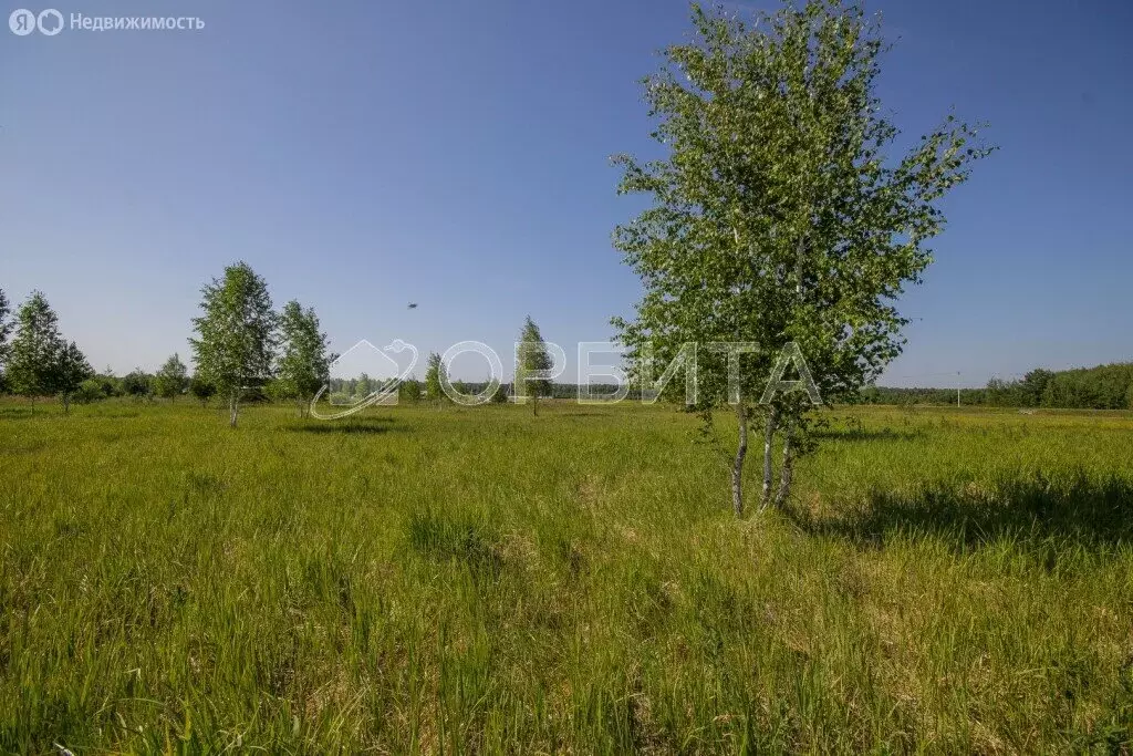 Участок в Нижнетавдинский район, СНТ Аракчино (6.67 м) - Фото 0