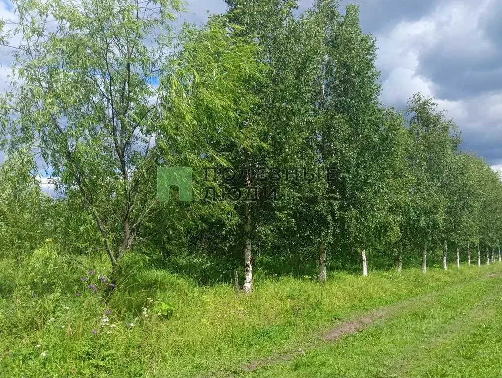 Участок в Коми, Сыктывдинский район, Зеленец муниципальное ... - Фото 1