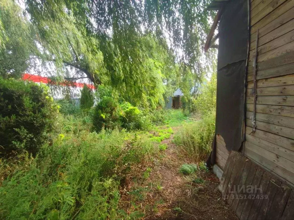 Участок в Краснодарский край, Тимашевский район, Новокорсунское с/пос, ... - Фото 2