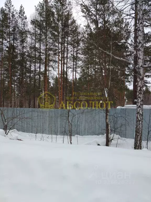 Участок в Свердловская область, Дегтярск  (10.0 сот.) - Фото 2