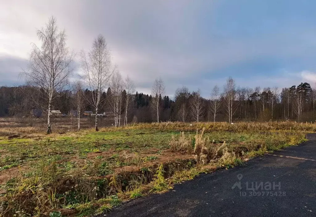 Участок в Московская область, Пушкинский городской округ, Софрино рп, ... - Фото 1