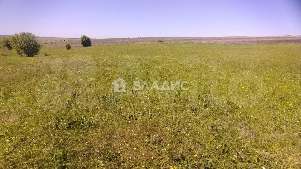 Участок 3 га (СНТ, ДНП) - Фото 0