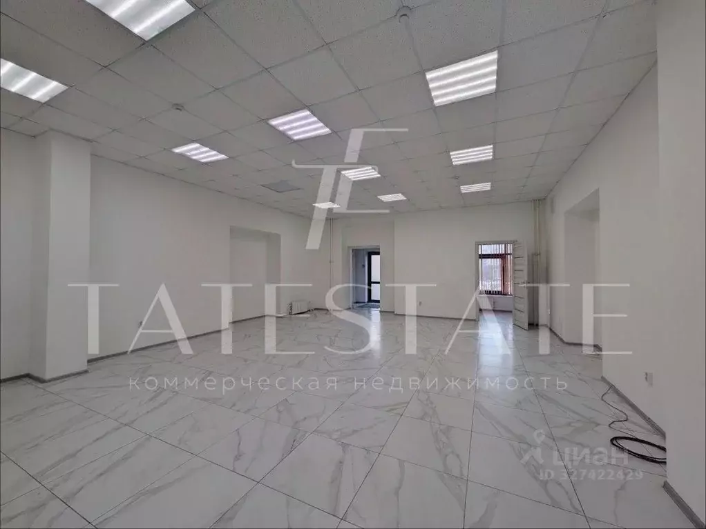 Помещение свободного назначения в Татарстан, Казань ул. Восстания, 129 ... - Фото 2