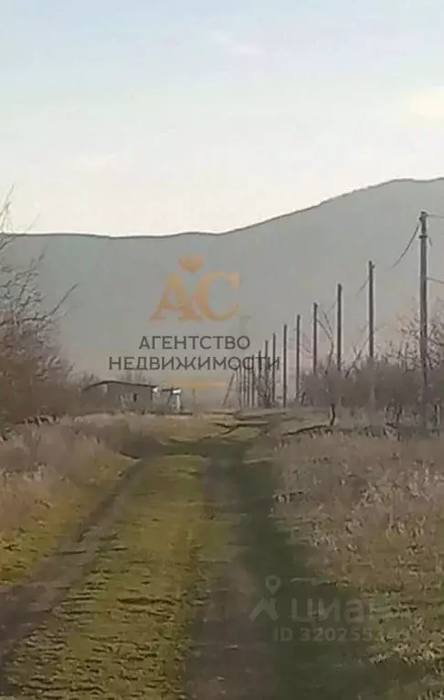 Участок в Крым, Кировский район, с. Абрикосовка ул. Сосновая, 6 (18.0 ... - Фото 2