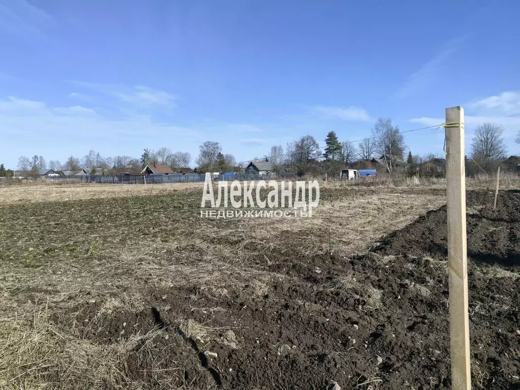 Участок в Ленинградская область, Гатчинский муниципальный округ, пос. ... - Фото 1