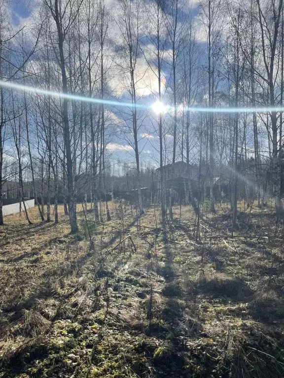 Участок в Московская область, Раменский городской округ, д. Васильево ... - Фото 1