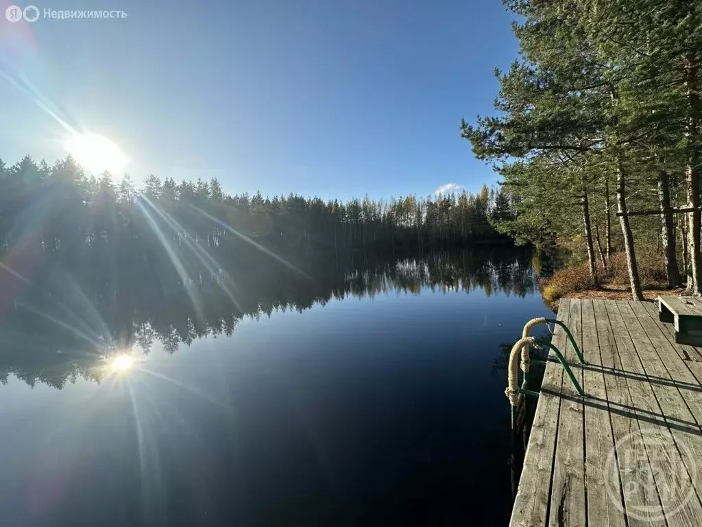 Участок в Выборгский район, Гончаровское сельское поселение, ДНП ... - Фото 0