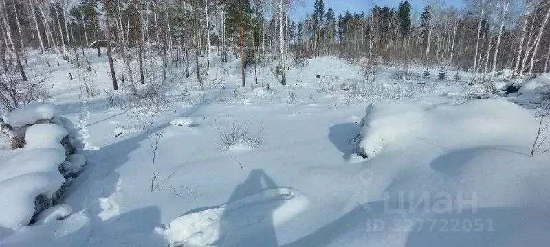 Участок в Иркутская область, Иркутский муниципальный округ, д. ... - Фото 2