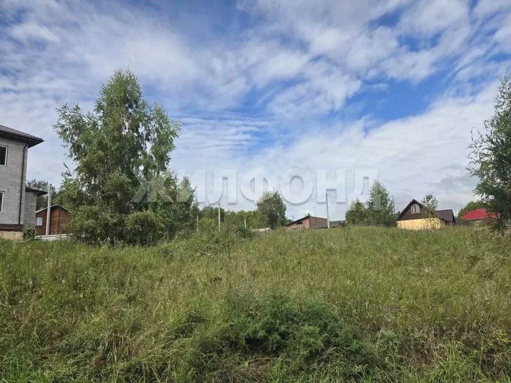 Участок в Новосибирская область, Новосибирск Зеленодолинская ул., 209 ... - Фото 1