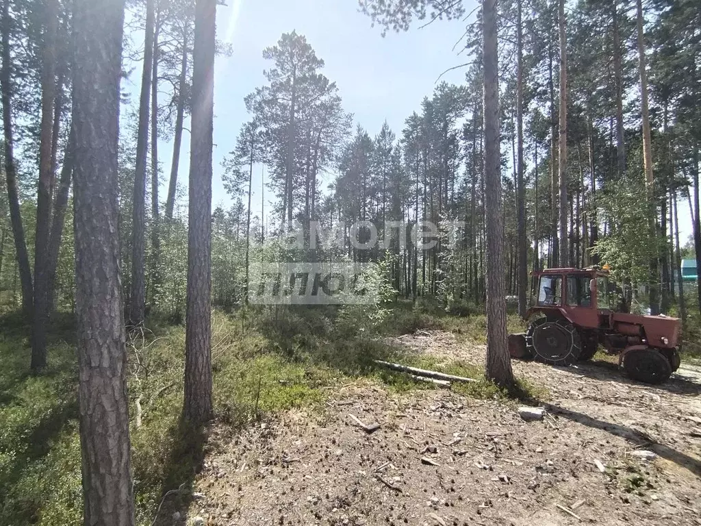Участок в Ханты-Мансийский АО, Сургутского муниципального района тер., ... - Фото 1