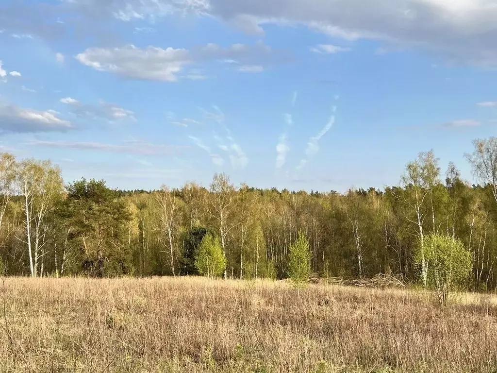 Участок в Московская область, Ступино городской округ, с. Старая Ситня ... - Фото 2