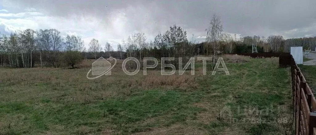 Участок в Тюменская область, Тюменский муниципальный округ, д. ... - Фото 2