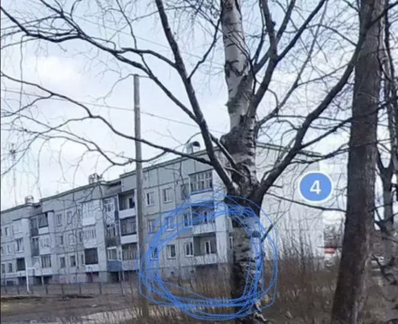 1-к кв. Архангельская область, Онега ул. Суворова, 4 (35.0 м) - Фото 2