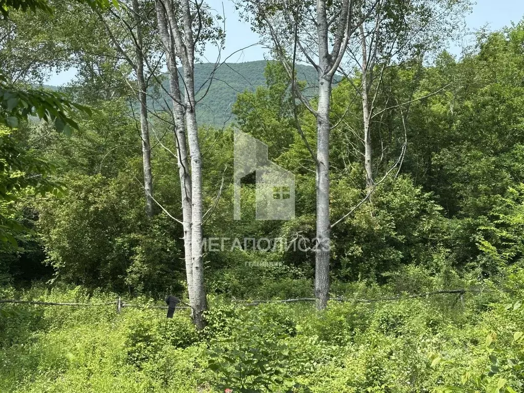 Участок в Краснодарский край, Геленджик городской округ, с. ... - Фото 1
