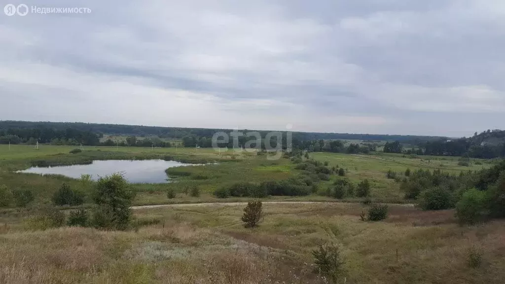 Участок в село Берёзово, Студенческая улица (40 м) - Фото 0