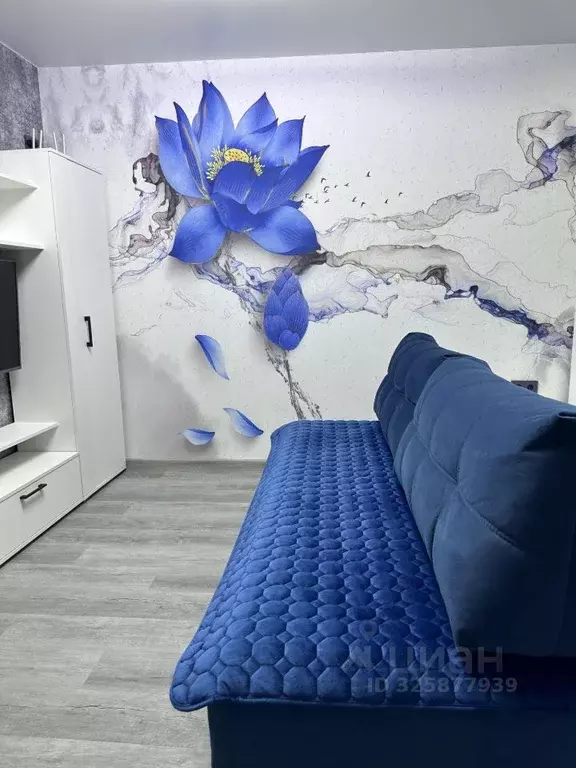 1-к кв. Татарстан, Казань ул. Толстого, 18 (30.0 м) - Фото 2