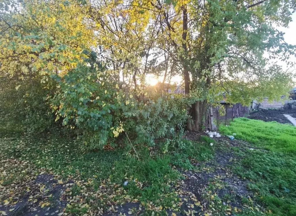 Участок в Ставропольский край, Новоалександровск пер. Энгельса (4.0 ... - Фото 2