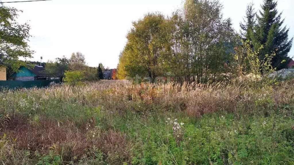 Участок в Ярославский район, Курбское сельское поселение, посёлок ... - Фото 0