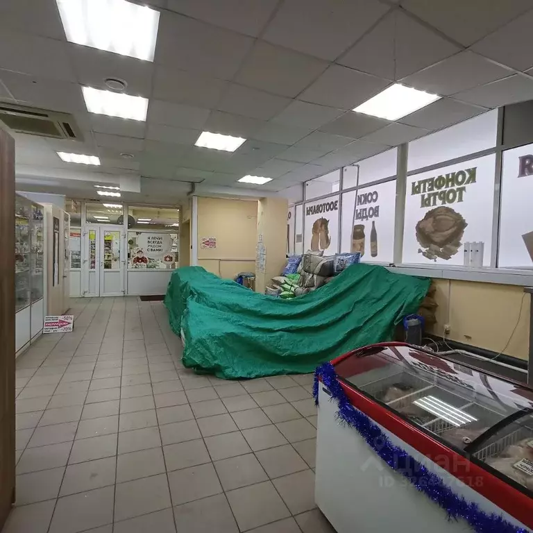 Торговая площадь в Удмуртия, Ижевск Автозаводская ул., 50 (22 м) - Фото 2