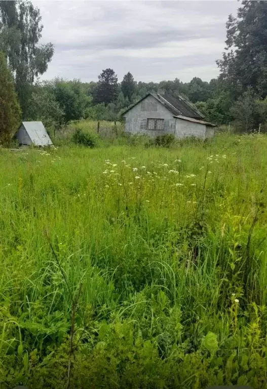 Дом в Калужская область, Тарусский муниципальный округ, Петрищево ... - Фото 2