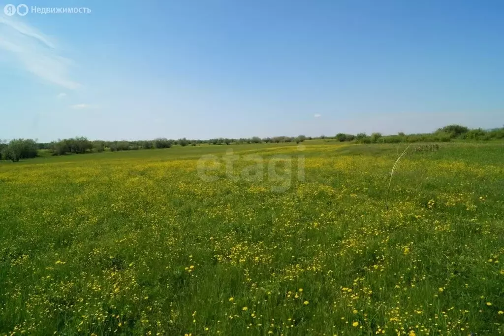 Участок в Тюменская область, Тобольский муниципальный округ, деревня ... - Фото 1