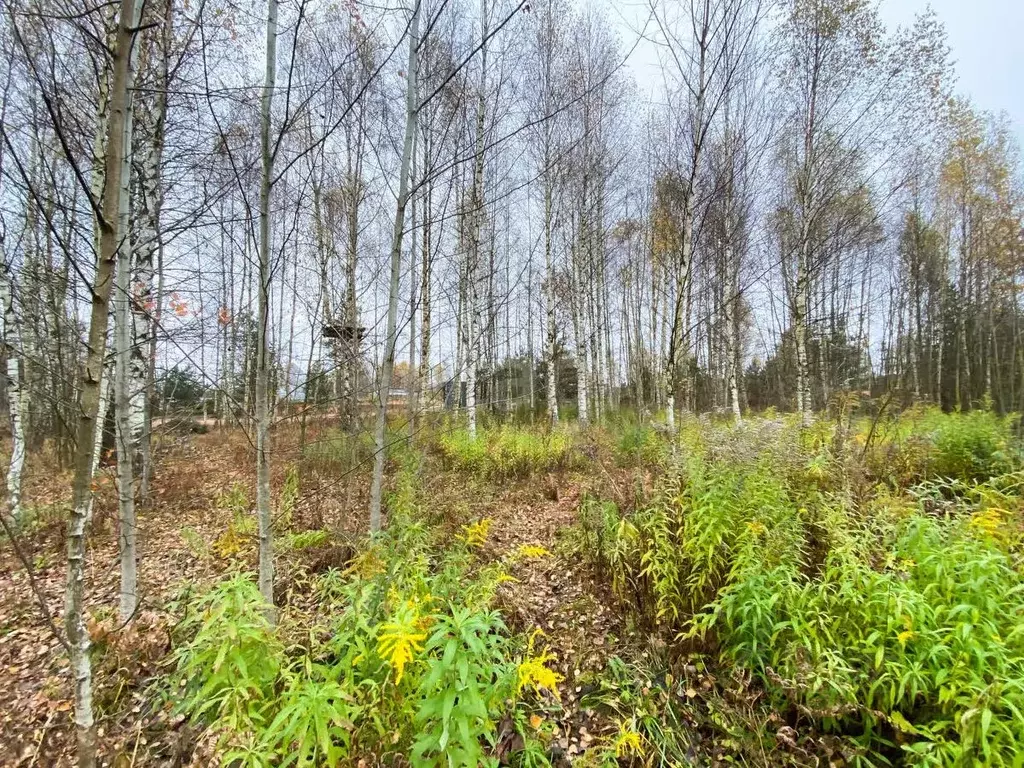 Участок в Ярославская область, Рыбинский муниципальный округ, д. ... - Фото 1