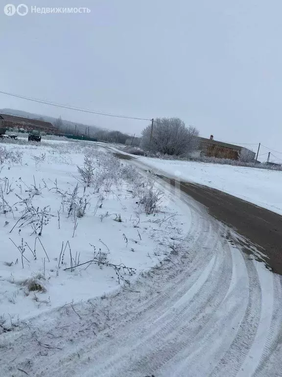 Участок в Медвежье, Молодёжная улица (6.6 м) - Фото 1