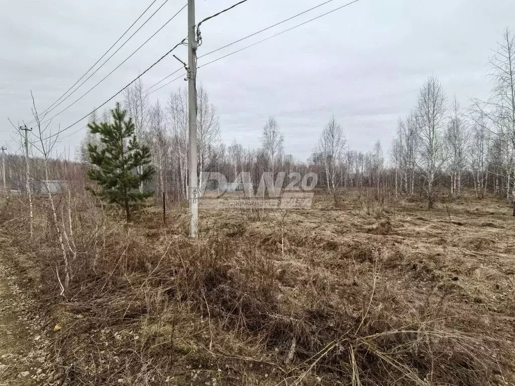 Участок в Челябинская область, Сосновский район, Кременкульское с/пос, ... - Фото 1