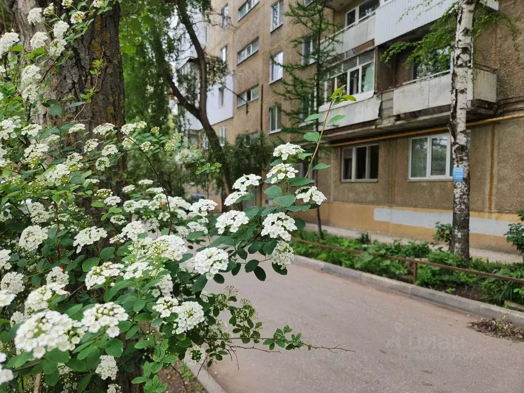 2-к кв. Саратовская область, Саратов ул. Имени С.Ф. Тархова, 23 (44.6 ... - Фото 1