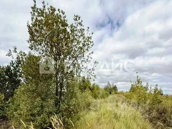 Участок в Пензенская область, Пенза Верхняя ул. (10.5 сот.) - Фото 0