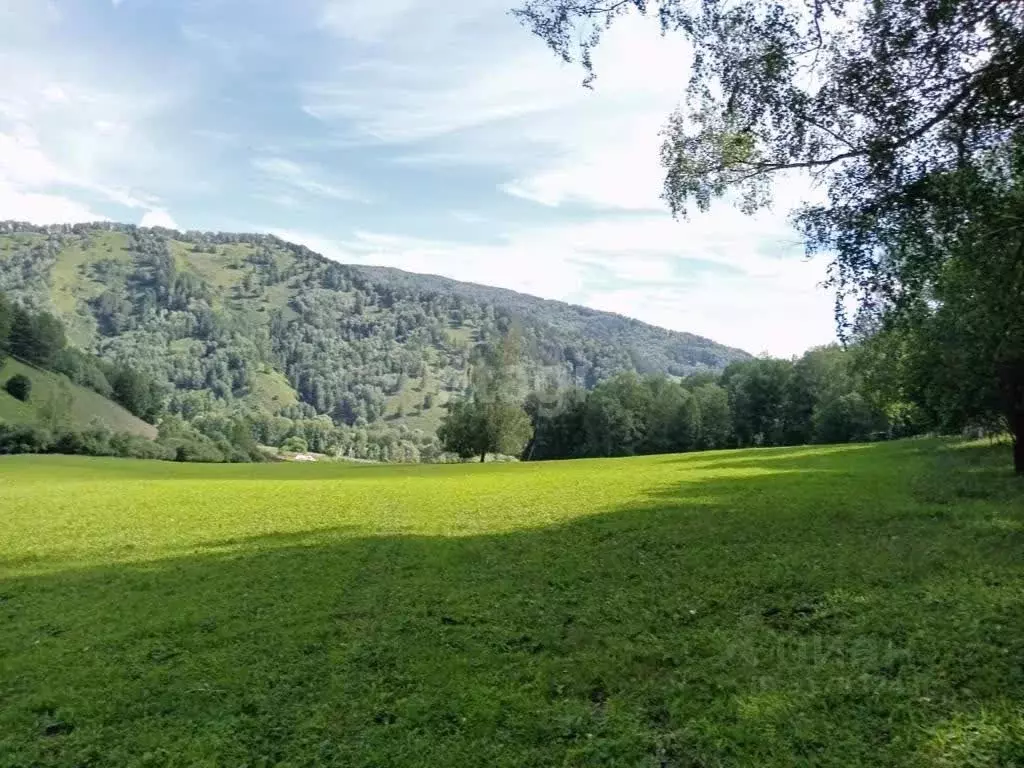 Участок в Алтай, Майминский район, с. Бирюля  (750.0 сот.) - Фото 1