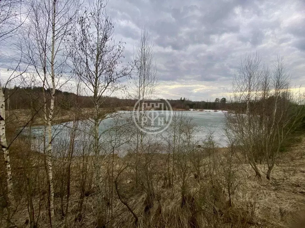 Участок в Ленинградская область, Всеволожский район, Колтушское ... - Фото 1