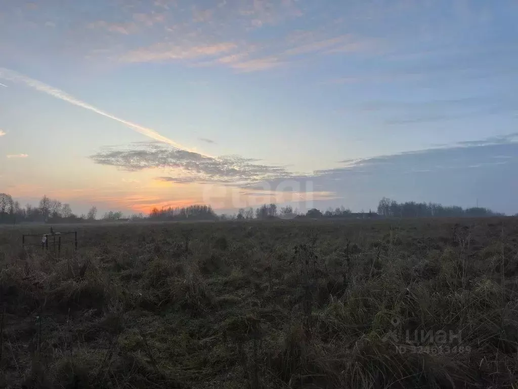 Участок в Смоленская область, Смоленский муниципальный округ, д. ... - Фото 2