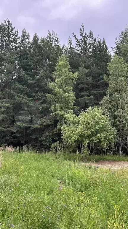 Участок 10 сот. (СНТ, ДНП) - Фото 0
