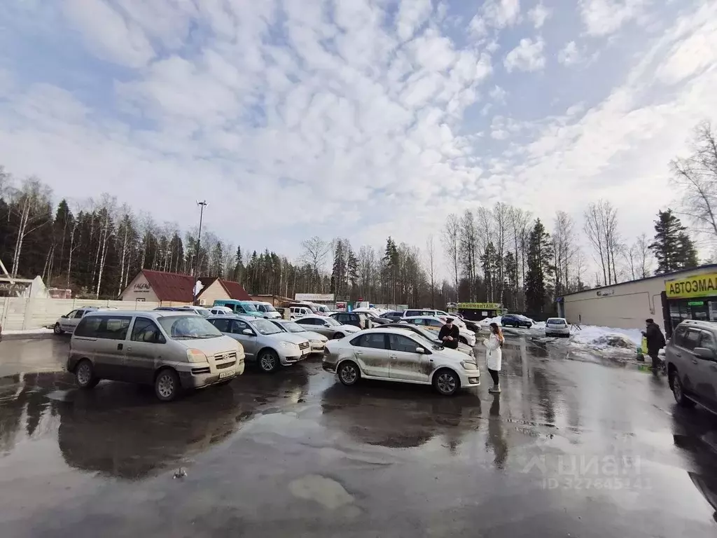 Торговая площадь в Ленинградская область, Сертолово Всеволожский ... - Фото 2