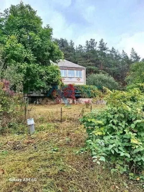 Дом в Белгородская область, Яковлевский муниципальный округ, с. Бутово ... - Фото 2