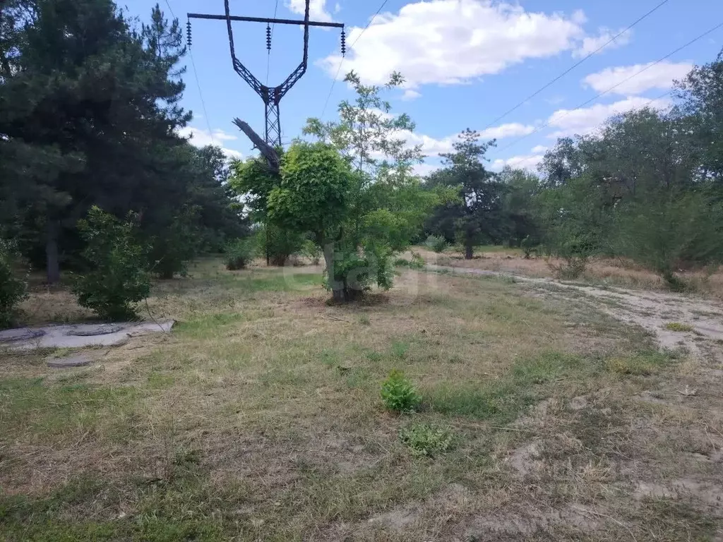 Участок в Ростовская область, Новочеркасск Высоковольтная ул. (1.0 ... - Фото 1